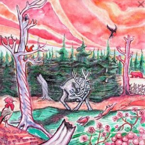 Jaakko Laitinen & Lapin lisä: s/t (LP)