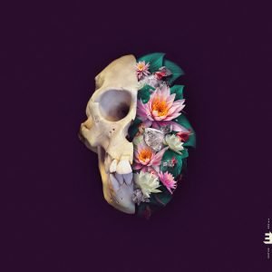 Verneri Pohjola: Monkey Minds (LP)