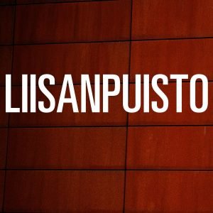 Liisanpuisto: S/T (2 LP)