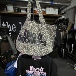 Aino & Hajonneet (kassi)